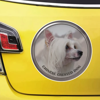 S62115 # Китайская хохлатая собака Самоклеящаяся наклейка на автомобиль, Водонепроницаемые автомобильные декорации на бампер, заднее стекло, ноутбук, выберите размер