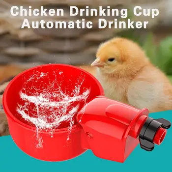 Полезная чашка для поения цыплят, легкая чистка, простая установка, Поилка для цыплят без заусенцев, аксессуары для домашней птицы